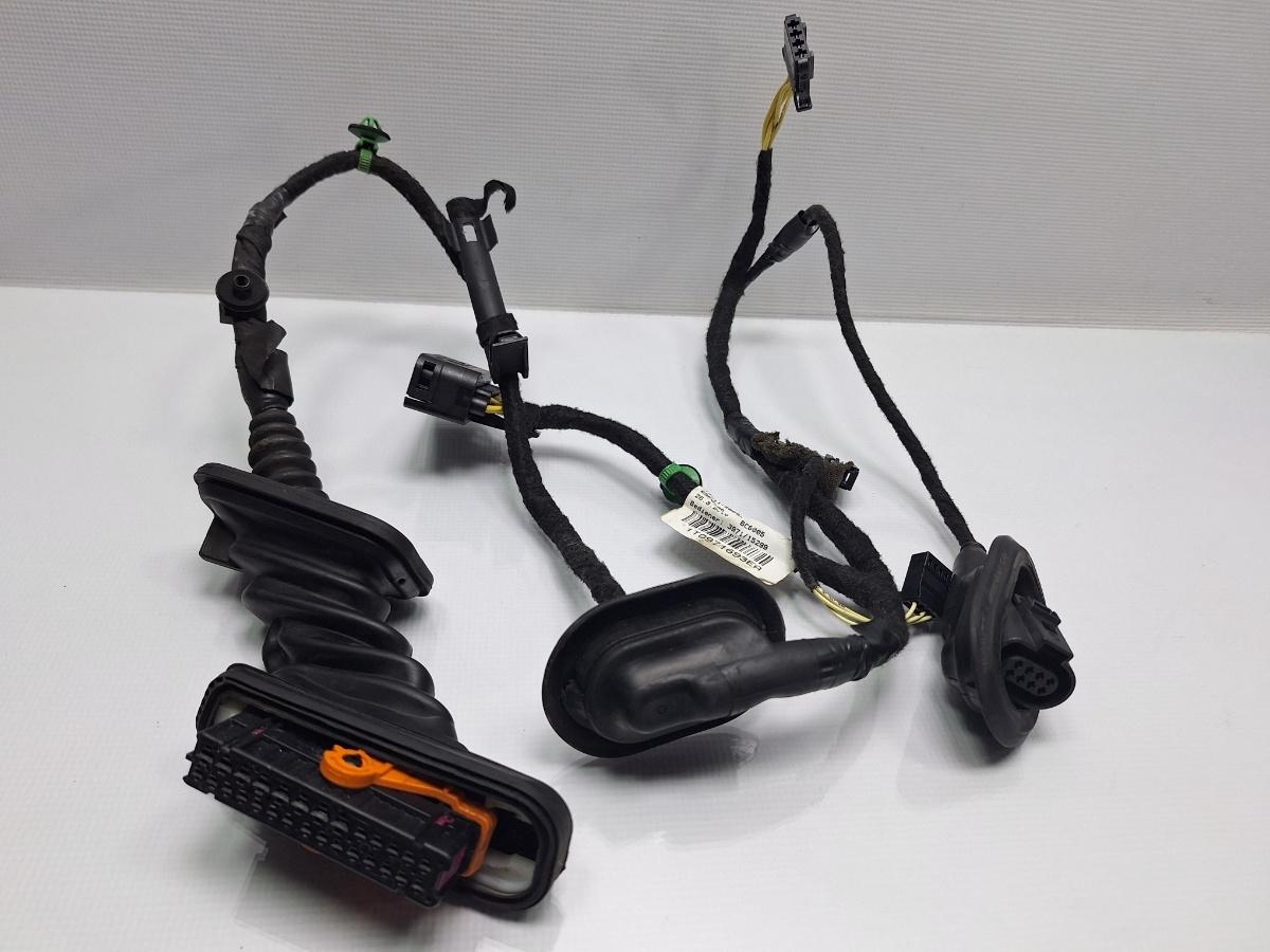Instalatie electrica usa stanga spate VOLKSWAGEN TOURAN 1T3 2010 - 2015 TDI CFHC 1T0971693EA