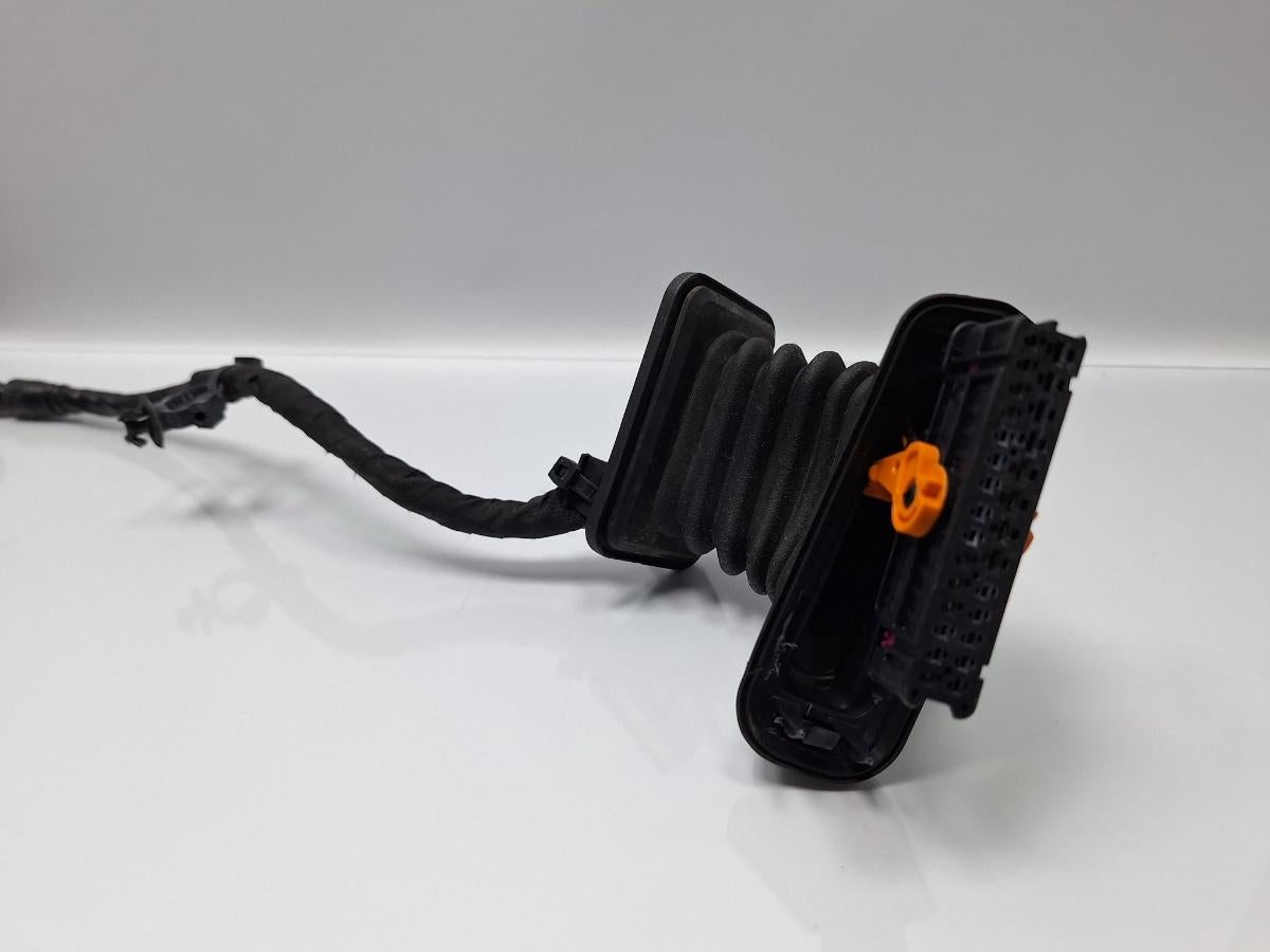 Instalatie electrica usa stanga fata VOLKSWAGEN PASSAT 3C2 2005 - 2010 TDI 16V BKP, CBAB 3C1971121BF