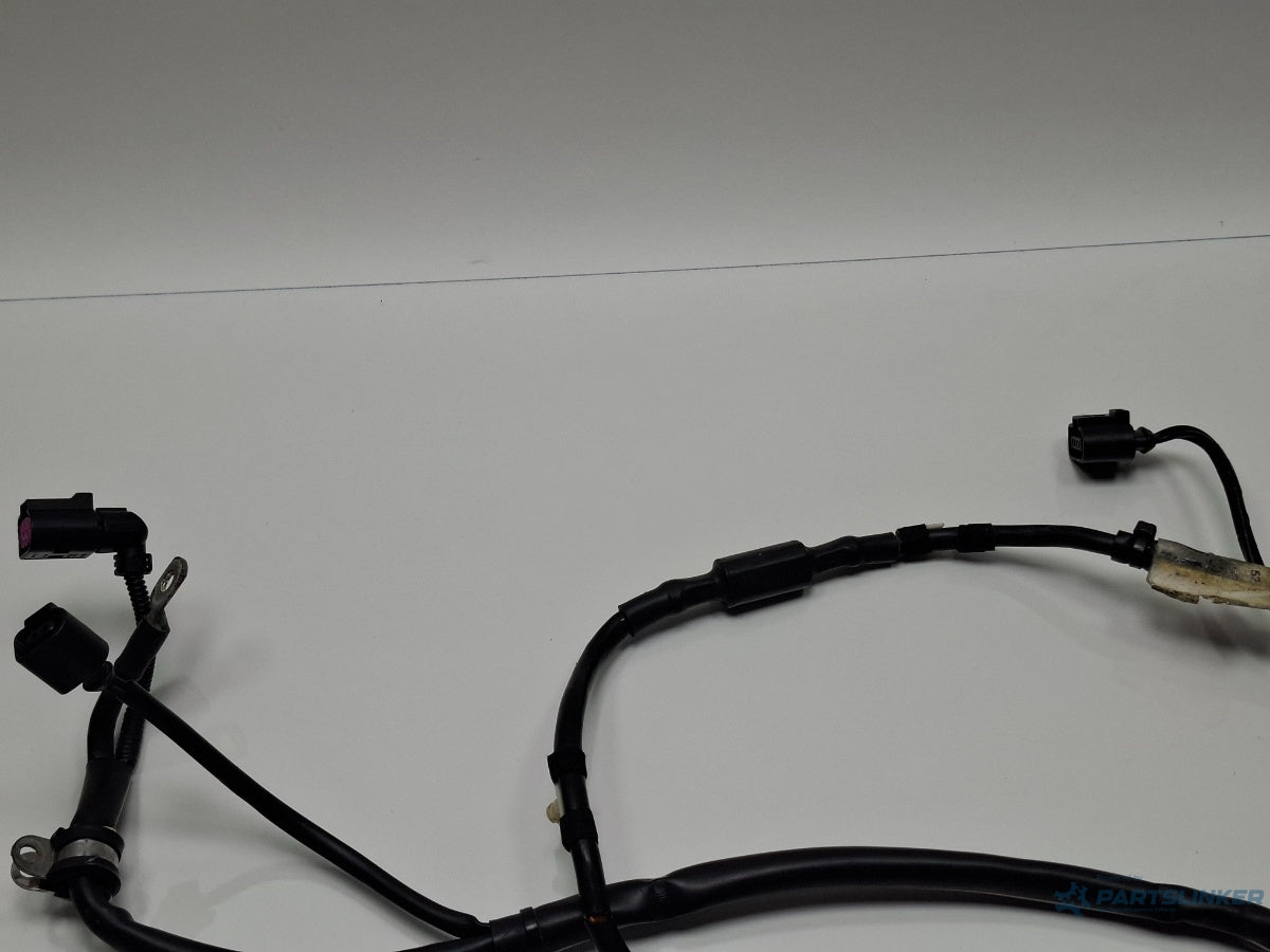 Instalatie electrica alternator VOLKSWAGEN PASSAT Variant 3C5 2005 - 2011 TDI BLS 3C0971230AG