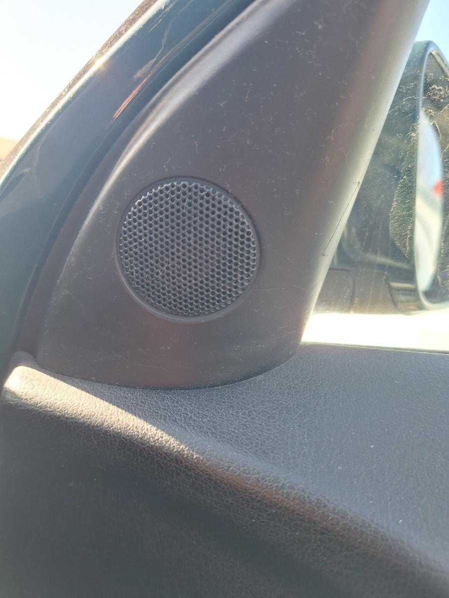 Difuzor de înaltă frecvență portieră față dreapta VOLKSWAGEN PASSAT Variant 3B6 2000 1.9 TDI AVF 96KW|130HP 2000
