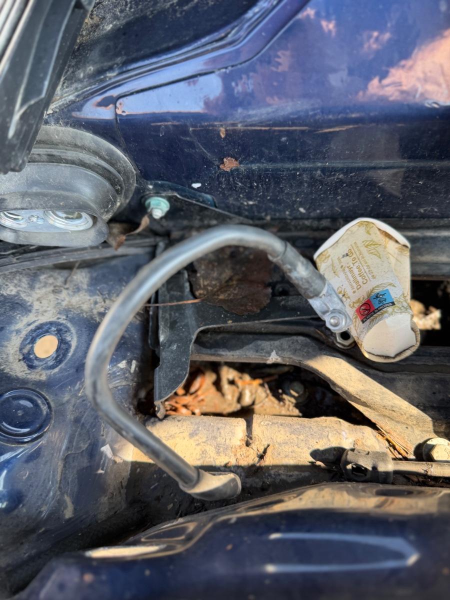 Cablu borna negativa (baterie) VOLKSWAGEN PASSAT 3B3 2000 - 2005 1.9 TDI AVF, AWX 8D1971235