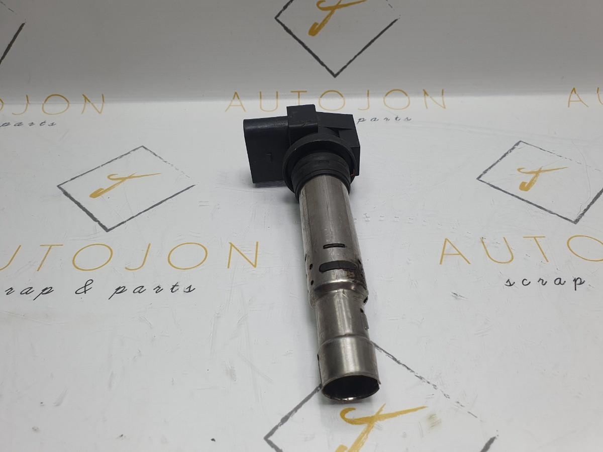 Bobina de inductie SEAT IBIZA IV (6L1) [ 2002 - 2009 ] 16V (AUB, BBZ) 74KW|100HP BERU 0040102030