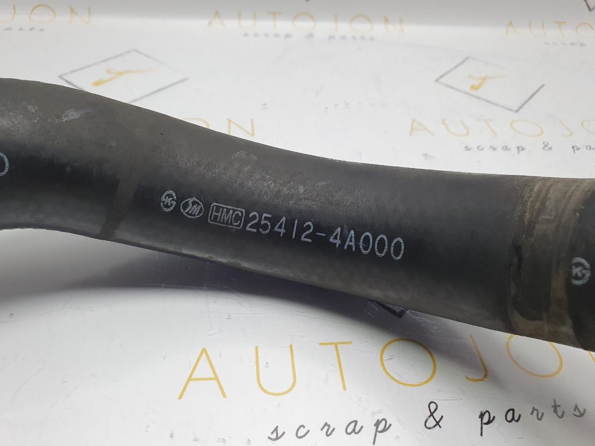 Furtun apa HYUNDAI H-1 Box (A1) [ 1997 - 2008 ] OEM 25412-4A000