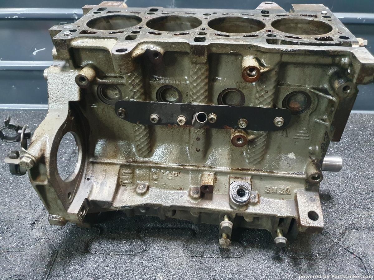 Bloc motor ambielat 1.3 JTD 16V FIAT PUNTO (188_) [ 2004 - 2009 ]  (188 A9.000) 51KW|70HP