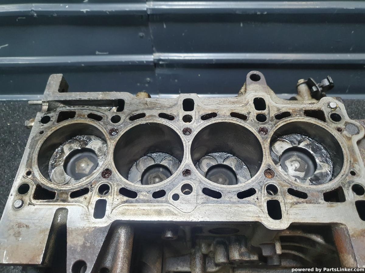 Bloc motor ambielat 1.3 JTD 16V FIAT PUNTO (188_) [ 2004 - 2009 ]  (188 A9.000) 51KW|70HP