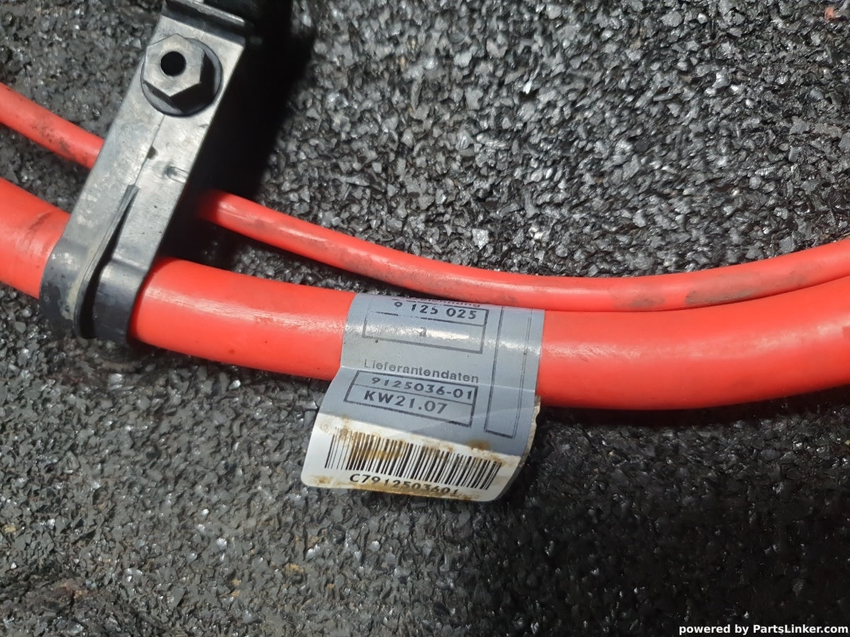Cablu plus BMW 3 V (E90) [ 2004 - 2012 ] 320 i (N46 B20..) 110KW|150HP 9125036-01