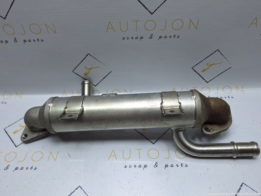 Racitor gaze SEAT ALHAMBRA (7V8, 7V9) [ 1996 - 2010 ] TDI (ASZ) 96KW|131HP 038131513P