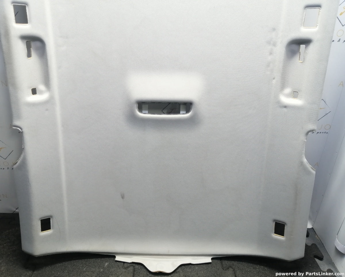 Plafon AUDI A6 III Avant (4F5, C6) [ 2005 - 2011 ] TDI (BLB, BRE) 103KW|140HP 4F5867505