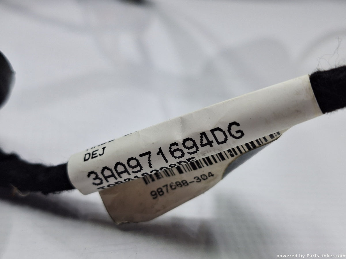 Instalatie electrica usa dreapta spate VOLKSWAGEN PASSAT (365) [ 2010 - 2014 ] 1.6 TDi BlueMotion (CAYC) 77KW|105HP 3AA971694DG