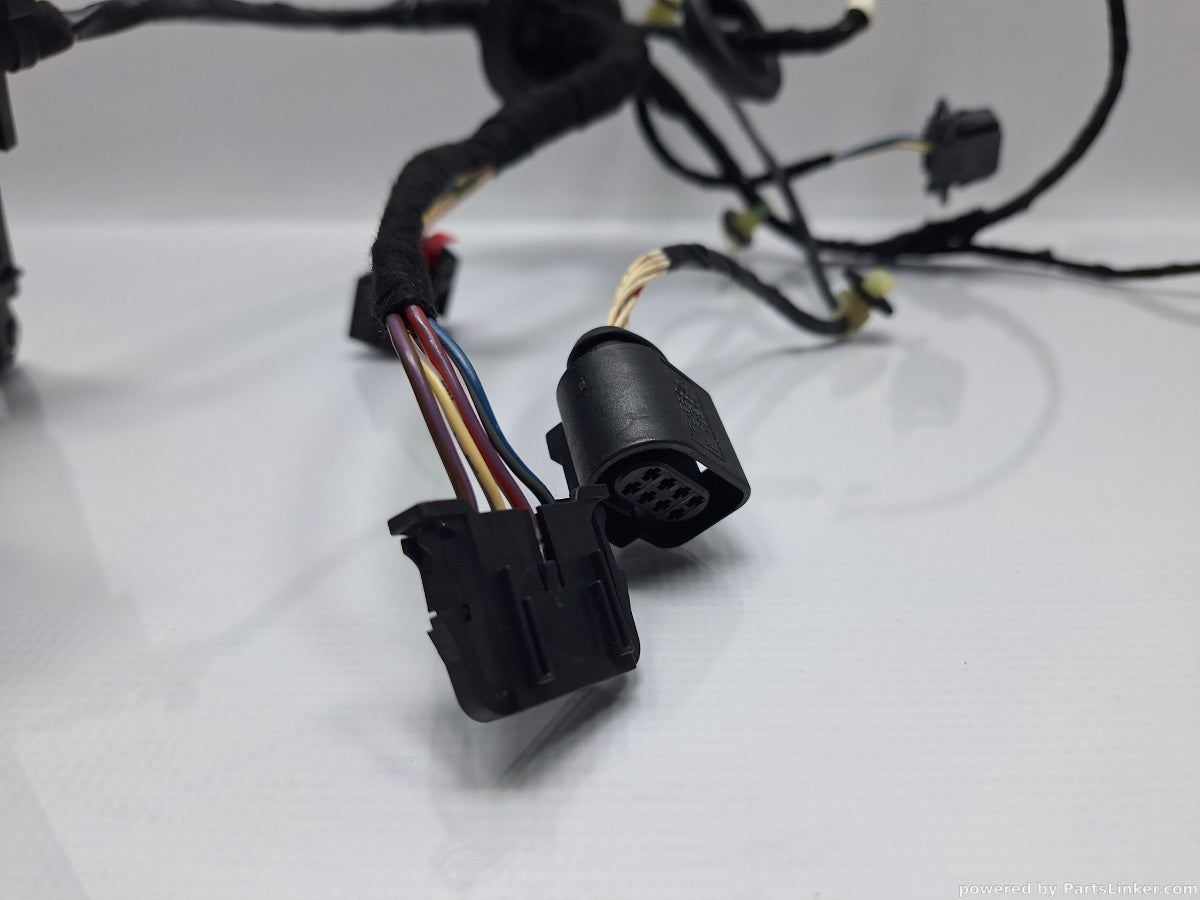 Instalatie electrica usa dreapta spate VOLKSWAGEN PASSAT (365) [ 2010 - 2014 ] 1.6 TDi BlueMotion (CAYC) 77KW|105HP 3AA971694DG