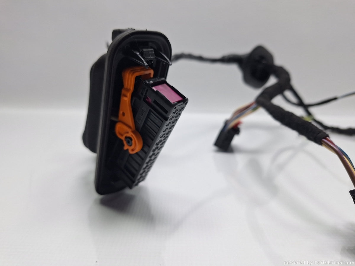 Instalatie electrica usa dreapta spate VOLKSWAGEN PASSAT (365) [ 2010 - 2014 ] 1.6 TDi BlueMotion (CAYC) 77KW|105HP 3AA971694DG