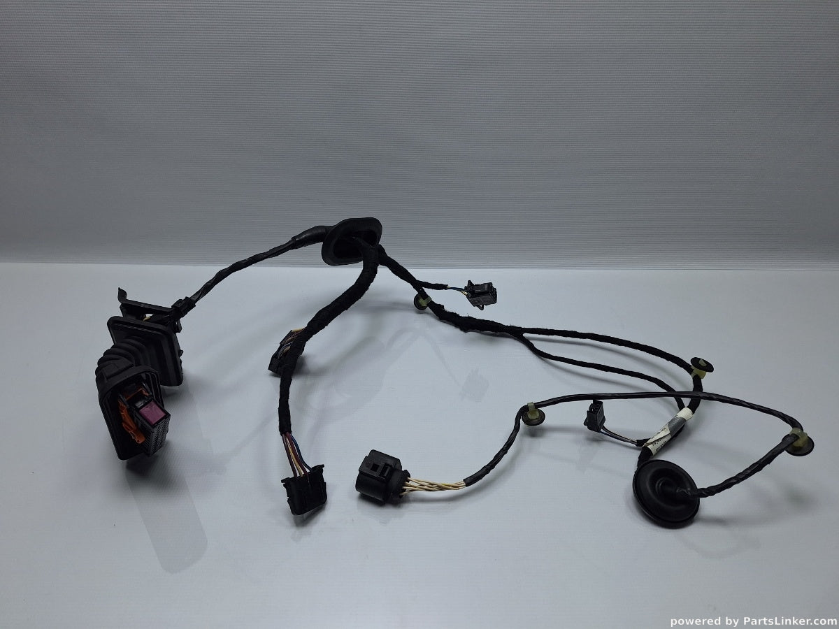 Instalatie electrica usa dreapta spate VOLKSWAGEN PASSAT (365) [ 2010 - 2014 ] 1.6 TDi BlueMotion (CAYC) 77KW|105HP 3AA971694DG