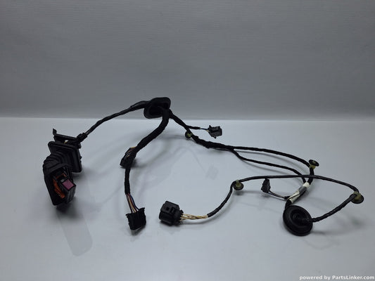 Instalatie electrica usa dreapta spate VOLKSWAGEN PASSAT (365) [ 2010 - 2014 ] 1.6 TDi BlueMotion (CAYC) 77KW|105HP 3AA971694DG