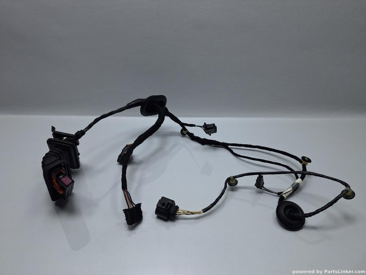 Instalatie electrica usa dreapta spate VOLKSWAGEN PASSAT Variant (365) [ 2010 - 2014 ], VOLKSWAGEN PASSAT (365) [ 2010 - 2014 ] 1.6 TDi BlueMotion (CAYC) 77KW|105HP OEM 3AA971694DG