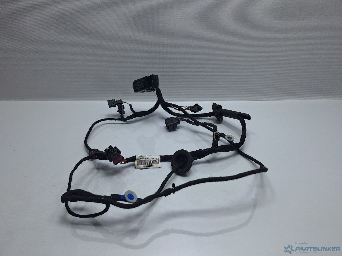 Instalatie usa stanga fata VOLKSWAGEN BORA (1J2) [ 1998 - 2013 ] TDI (AGR, ALH) 66KW|90HP 1J0971121DC