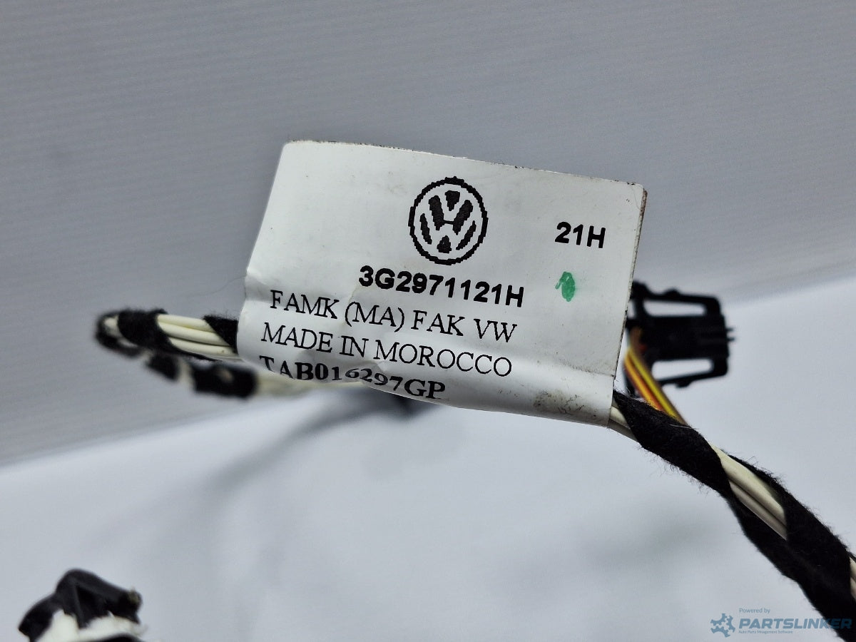 Instalatie electrica usa stanga fata VOLKSWAGEN PASSAT Variant (3G5) [ 2014 - > ] TDI (CRLB, DBGA, DFGA) 110KW|150HP 3G2971121H