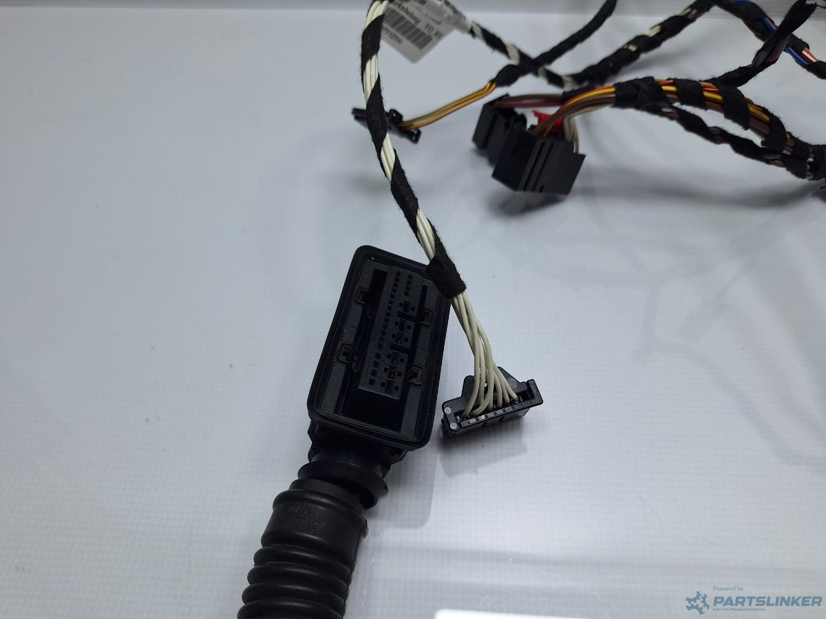 Instalatie electrica usa stanga fata VOLKSWAGEN PASSAT Variant (3G5) [ 2014 - > ] TDI (CRLB, DBGA, DFGA) 110KW|150HP 3G2971121H