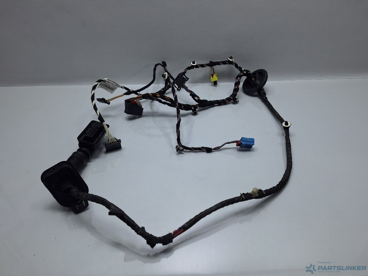 Instalatie electrica usa stanga fata VOLKSWAGEN PASSAT Variant (3G5) [ 2014 - > ] TDI (CRLB, DBGA, DFGA) 110KW|150HP 3G2971121H