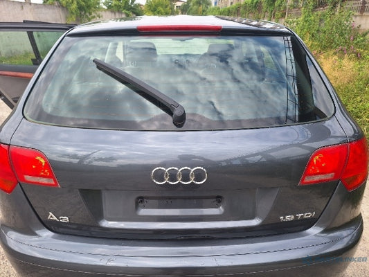 Broasca haion AUDI A3 II (8P1) [ 2003 - 2013 ] TDI (BKC, BLS, BXE) 77KW|105HP 8P4827505C