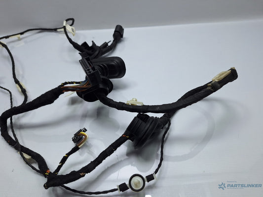 Instalatie electrica usa stanga fata AUDI A6 III Allroad (4FH, C6) [ 2006 - 2011 ] TDI quattro (CANC) 140KW|190HP 4F1971029BR