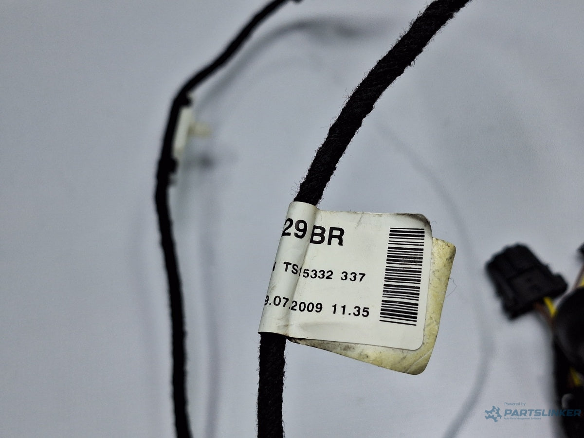 Instalatie electrica usa stanga fata AUDI A6 III Allroad (4FH, C6) [ 2006 - 2011 ] TDI quattro (CANC) 140KW|190HP 4F1971029BR