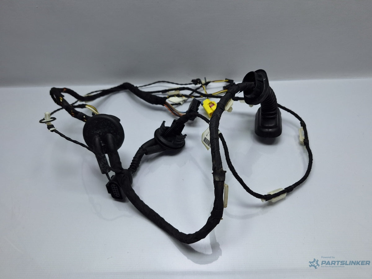 Instalatie electrica usa stanga fata AUDI A6 III Allroad (4FH, C6) [ 2006 - 2011 ] TDI quattro (CANC) 140KW|190HP 4F1971029BR