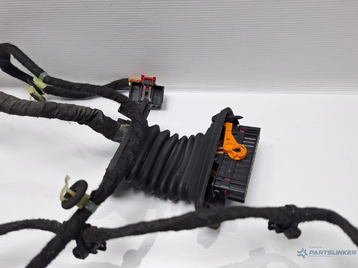 Instalatie electrica usa stanga fata VOLKSWAGEN PASSAT Variant 3C5 2005 - 2011 TDI BMP  3C1971120BP