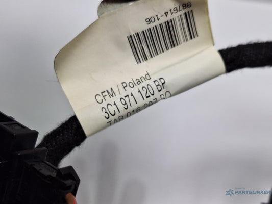 Instalatie electrica usa stanga fata VOLKSWAGEN PASSAT Variant 3C5 2005 - 2011 TDI BMP  3C1971120BP