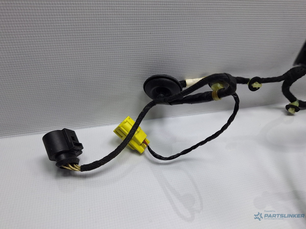 Instalatie electrica usa stanga fata VOLKSWAGEN PASSAT Variant 3C5 2005 - 2011 TDI BMP  3C1971120BP