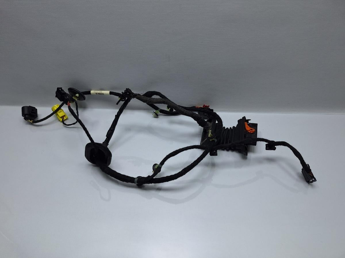 Instalatie electrica usa stanga fata VOLKSWAGEN PASSAT Variant 3C5 2005 - 2011 TDI BMP  3C1971120BP