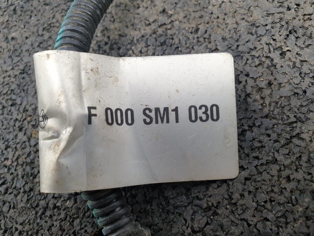 Instalatie electrica injectoare FIAT Albea [ 2002 - 2012 ] F000SM1030