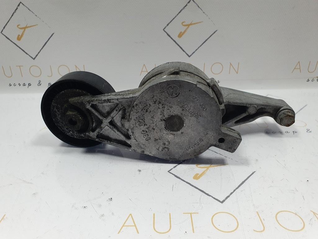 Intinzator curea accesorii SEAT LEON II 1P1 2005 - 2013 1.9 TDI BKC, BLS, BXE   03G903315C