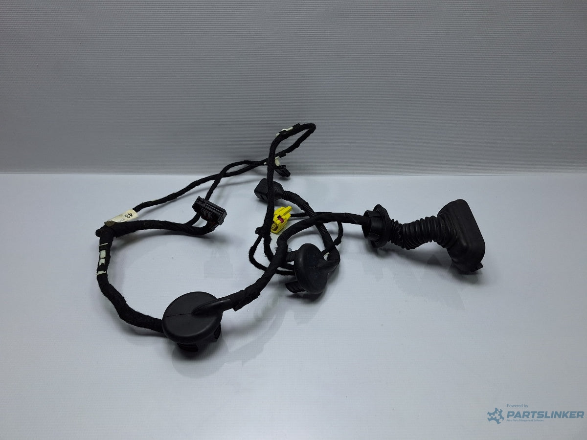 Instalatie electrica usa dreapta fata AUDI A3 II Sportback 8PA 2004 - 2015 TDI BKC, BLS, BXE 8P4971030C