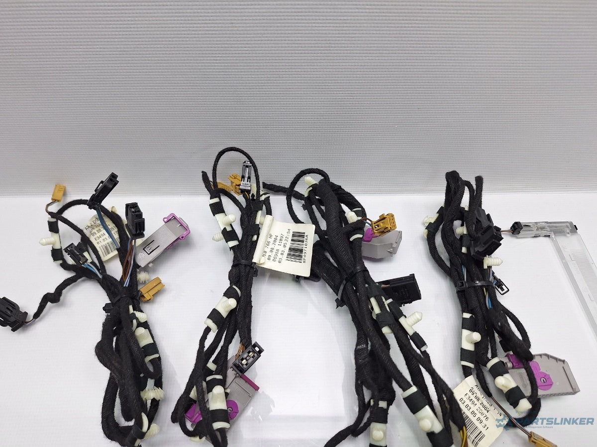 Lampi iluminare manere si panouri usi AUDI A3 II Sportback 8PA 2004 - 2015 TDI BKC, BLS, BXE 4B0947415 , 8P4837019A