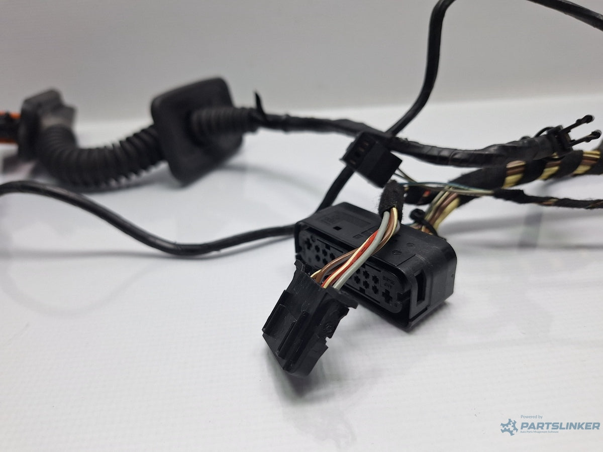 Instalatie electrica usa spate VOLKSWAGEN TIGUAN 5N_ 2007 - > TDI 4motion CBAB, CFFB, CLJA 5N0971693A