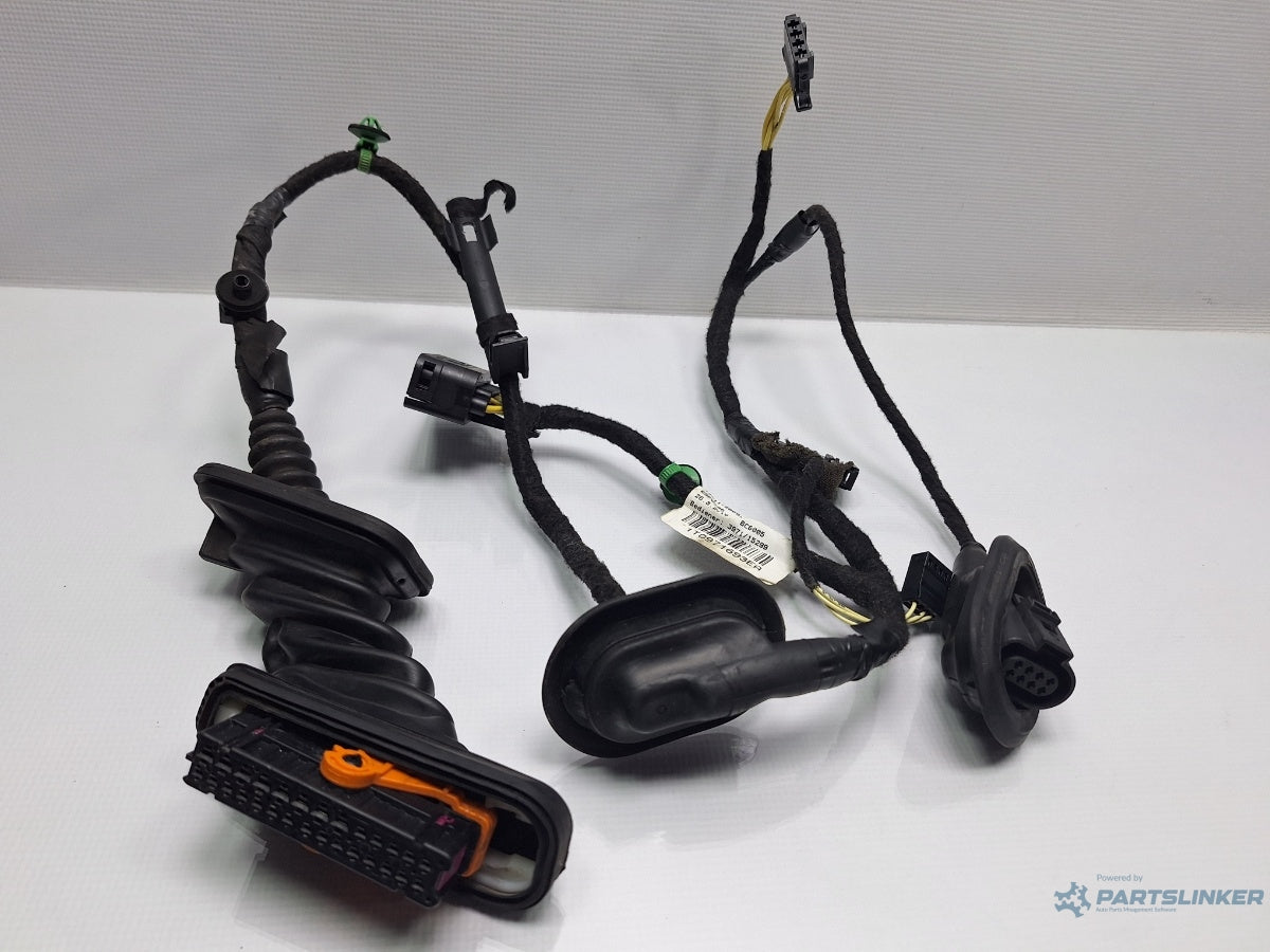 Instalatie electrica usa stanga spate VOLKSWAGEN TOURAN 1T3 2010 - 2015 TDI CFHC 1T0971693EA