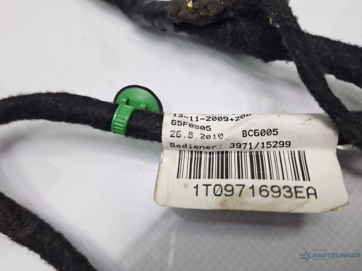 Instalatie electrica usa stanga spate VOLKSWAGEN TOURAN 1T3 2010 - 2015 TDI CFHC 1T0971693EA