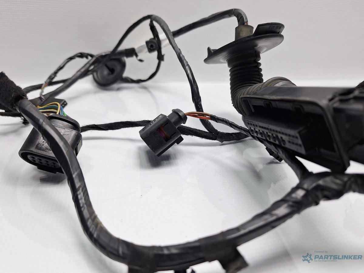 Instalatie electrica usa stanga fata SEAT IBIZA V 6J5, 6P1 2008 - > TDI BMS 6J4971120R