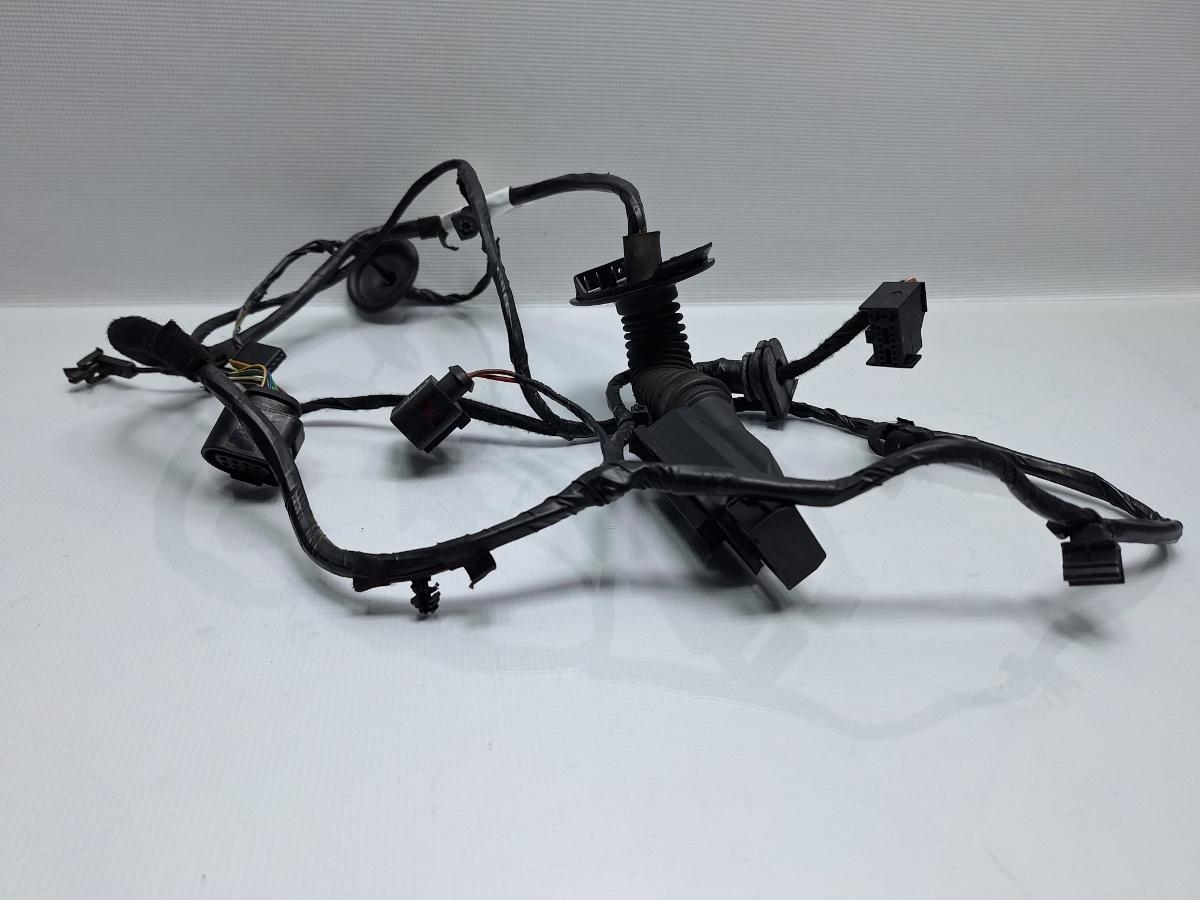 Instalatie electrica usa stanga fata SEAT IBIZA V 6J5, 6P1 2008 - > TDI BMS 6J4971120R