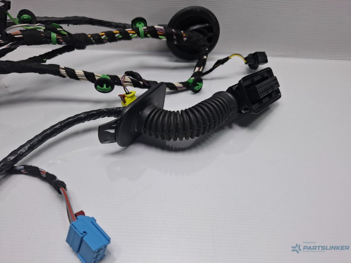 Instalatie electrica cablaj usa stanga fata VOLKSWAGEN PASSAT Variant 3G5 2014 - > TDI CRLB, DBGA, DFGA 3G1971120M