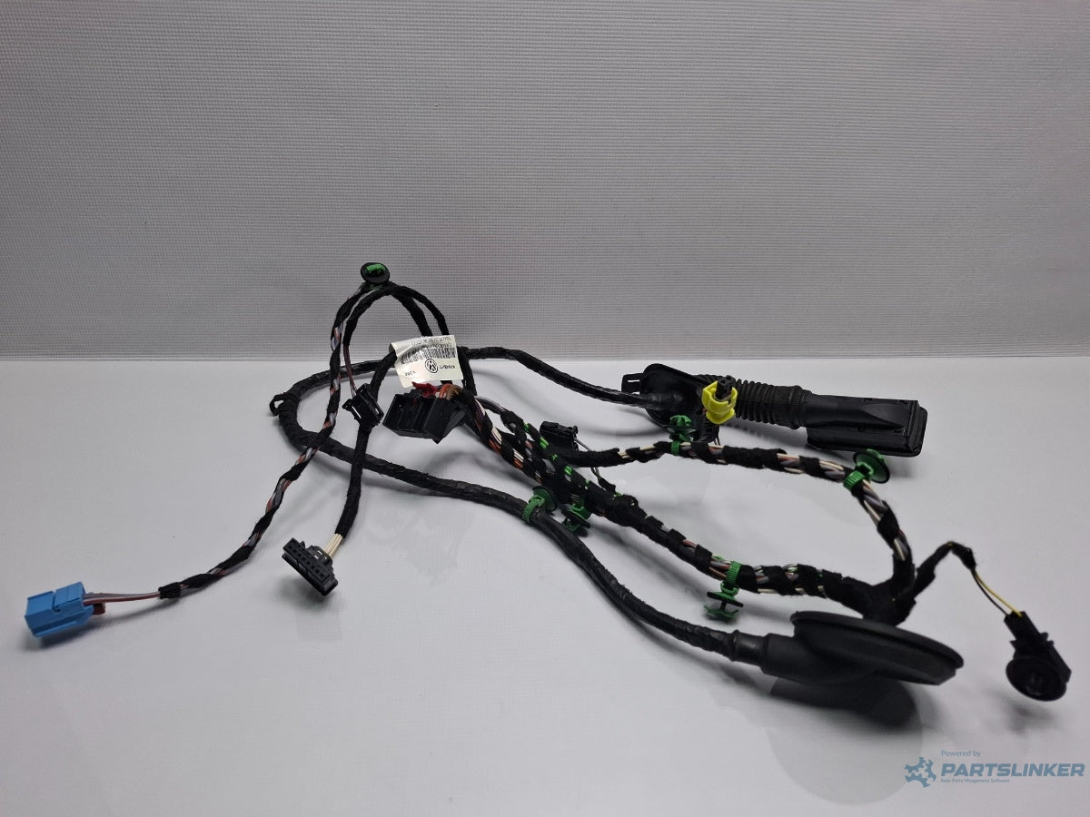 Instalatie electrica cablaj usa stanga fata VOLKSWAGEN PASSAT Variant 3G5 2014 - > TDI CRLB, DBGA, DFGA 3G1971120M