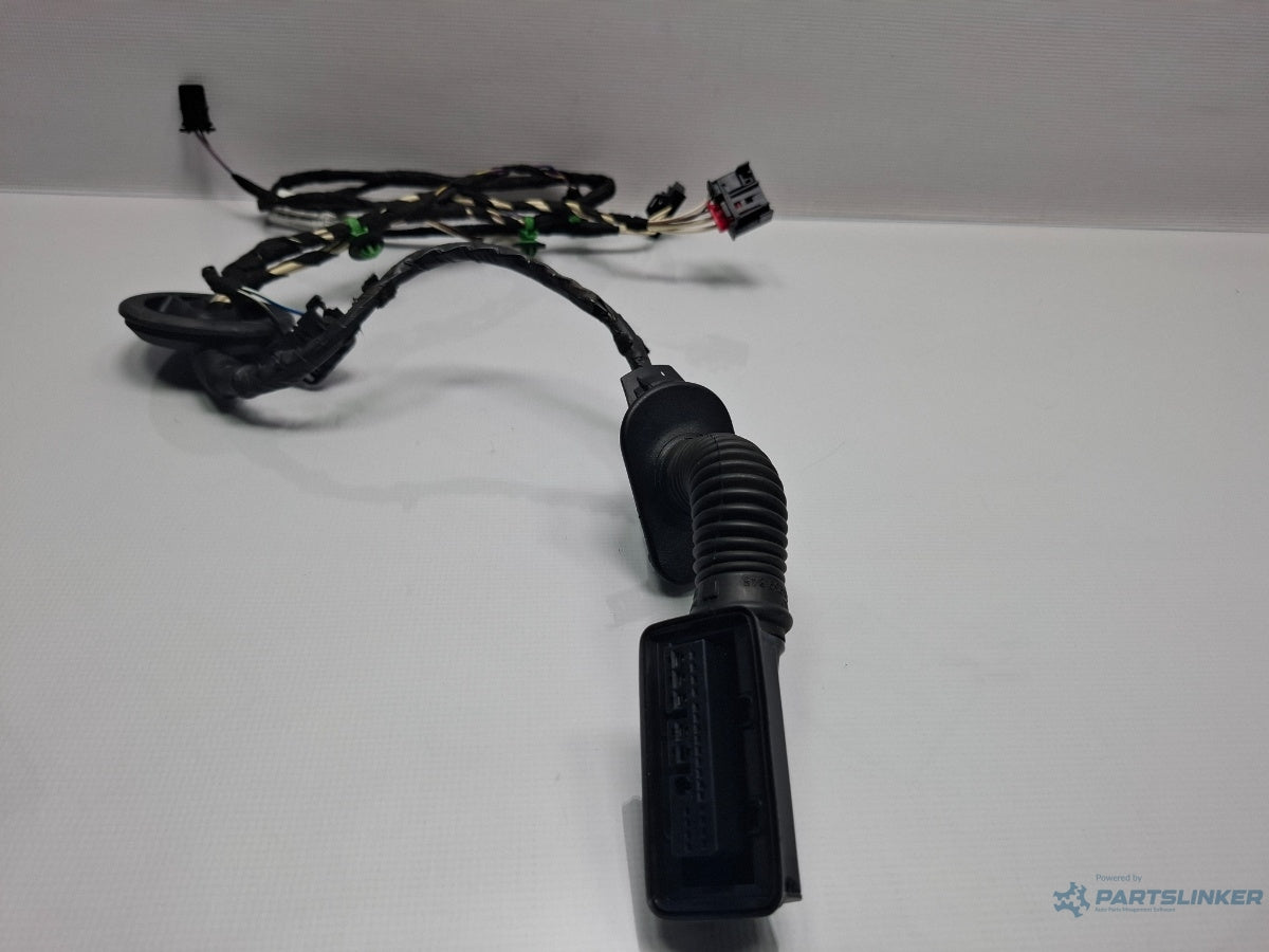 Instalatie electrica cablaj usa dreapta spate VOLKSWAGEN PASSAT Variant 3G5 2014 - > TDI CRLB, DBGA, DFGA 3G0971694F