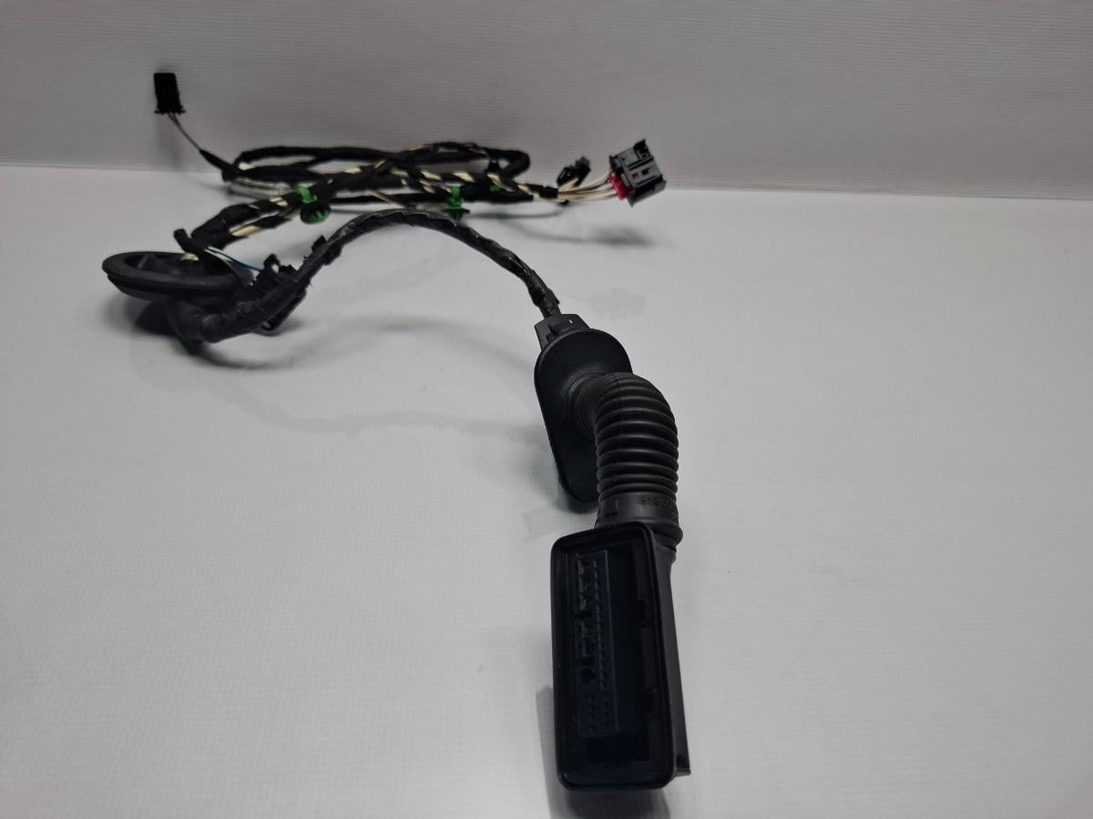 Instalatie electrica cablaj usa dreapta spate VOLKSWAGEN PASSAT Variant 3G5 2014 - > TDI CRLB, DBGA, DFGA 3G0971694F
