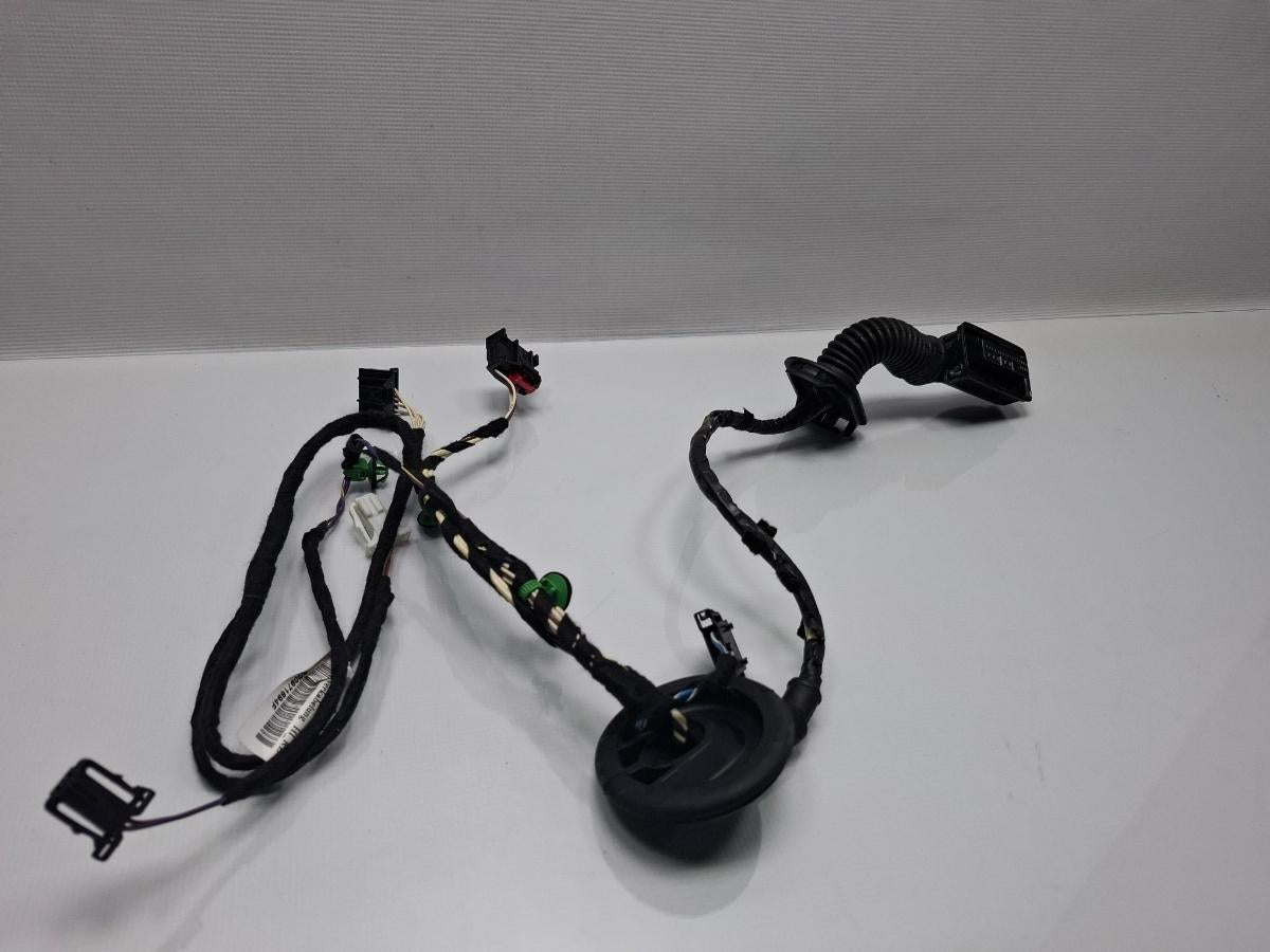 Instalatie electrica cablaj usa dreapta spate VOLKSWAGEN PASSAT Variant 3G5 2014 - > TDI CRLB, DBGA, DFGA 3G0971694F