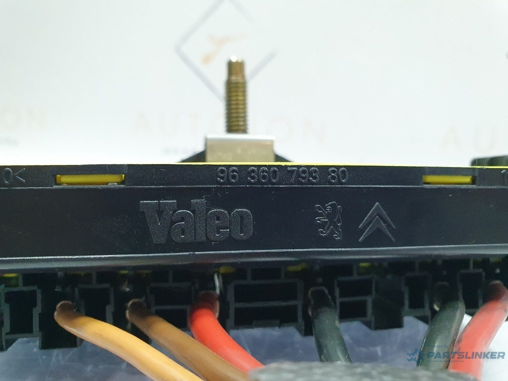 Panou sigurante PEUGEOT 406 8B 1995 - 2005 HDI 110 RHZ (DW10ATED), PEUGEOT 206 Hatchback 2A/C 1998 - > 2.0 HDI 90 RHY (DW10TD) 9636079380