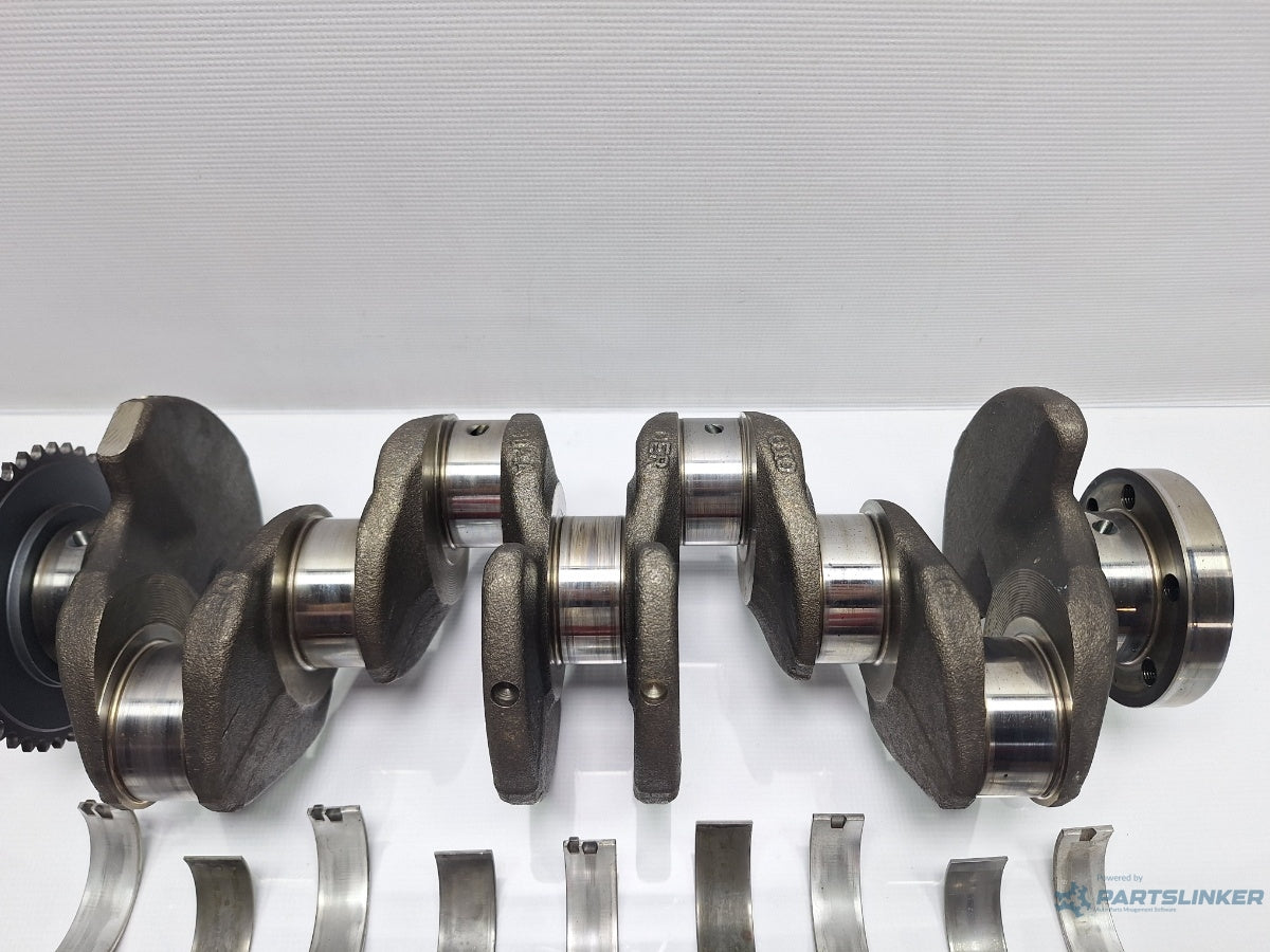 Vibrochen AUDI A4 III 8EC, B7 2004 - 2008 TDI 16V BLB, BRE 038AA