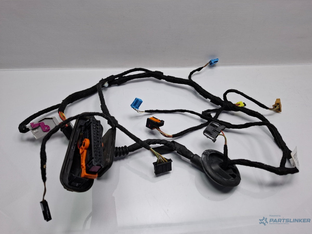 Instalatie electrica usa dreapta fata VOLKSWAGEN JETTA IV 162, 163, AV3, AV2 2009 - > TDI CAYC 5C7971120J