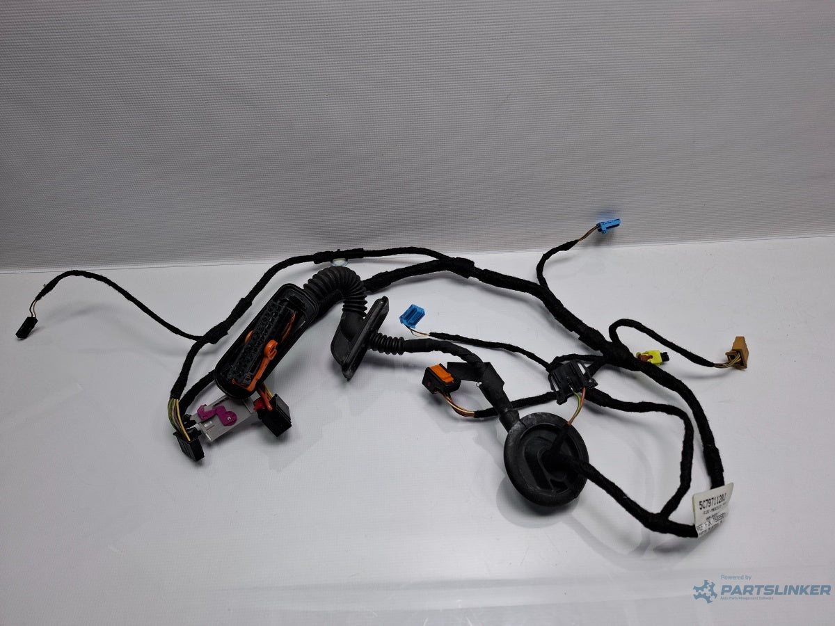 Instalatie electrica usa dreapta fata VOLKSWAGEN JETTA IV 162, 163, AV3, AV2 2009 - > TDI CAYC 5C7971120J