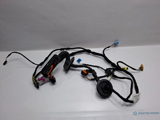 Instalatie electrica usa dreapta fata VOLKSWAGEN JETTA IV 162, 163, AV3, AV2 2009 - > TDI CAYC 5C7971120J