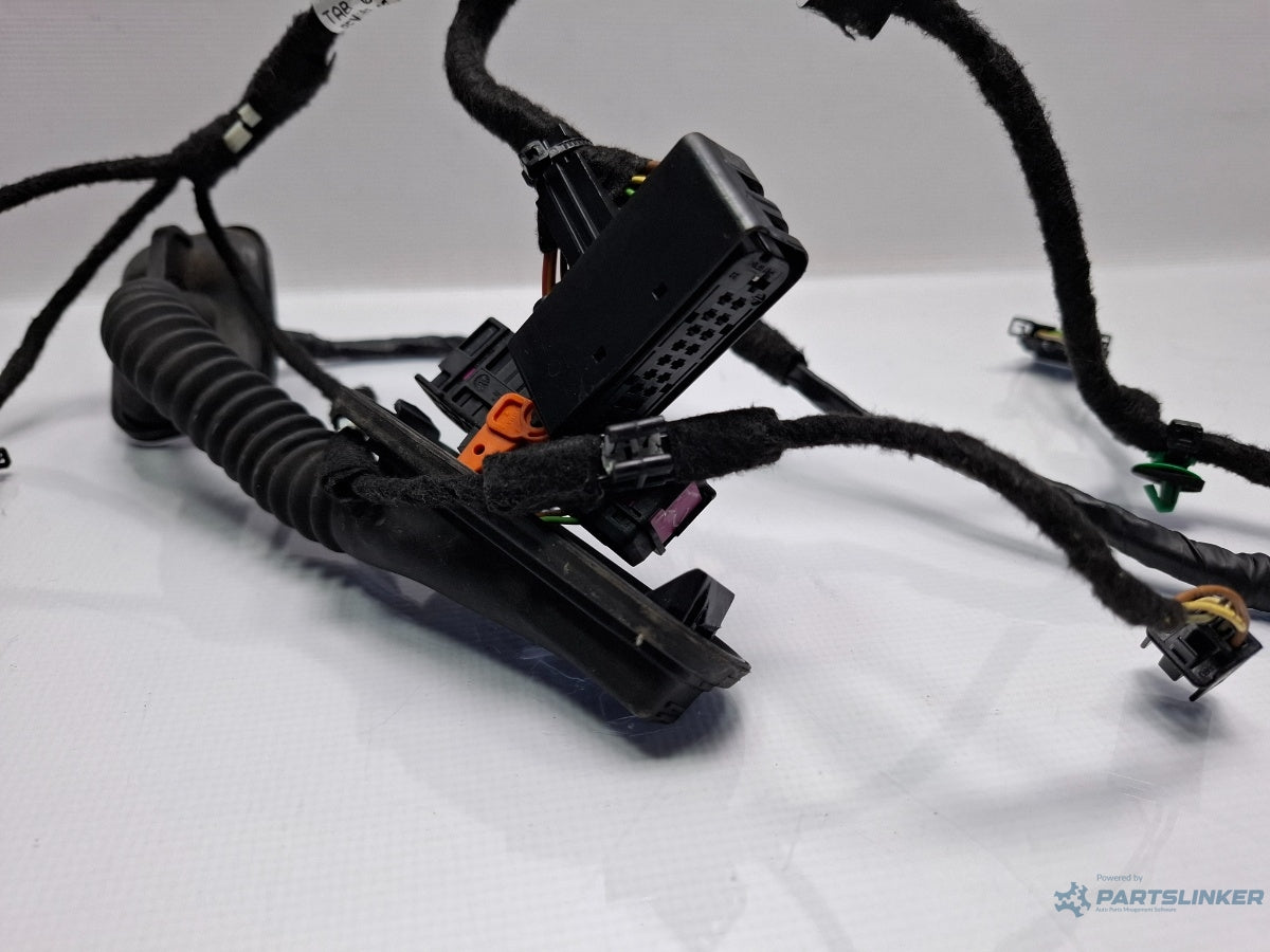 Instalatie electrica usa stanga spate VOLKSWAGEN JETTA IV 162, 163, AV3, AV2 2009 - > TDI CAYC 5C7971693P